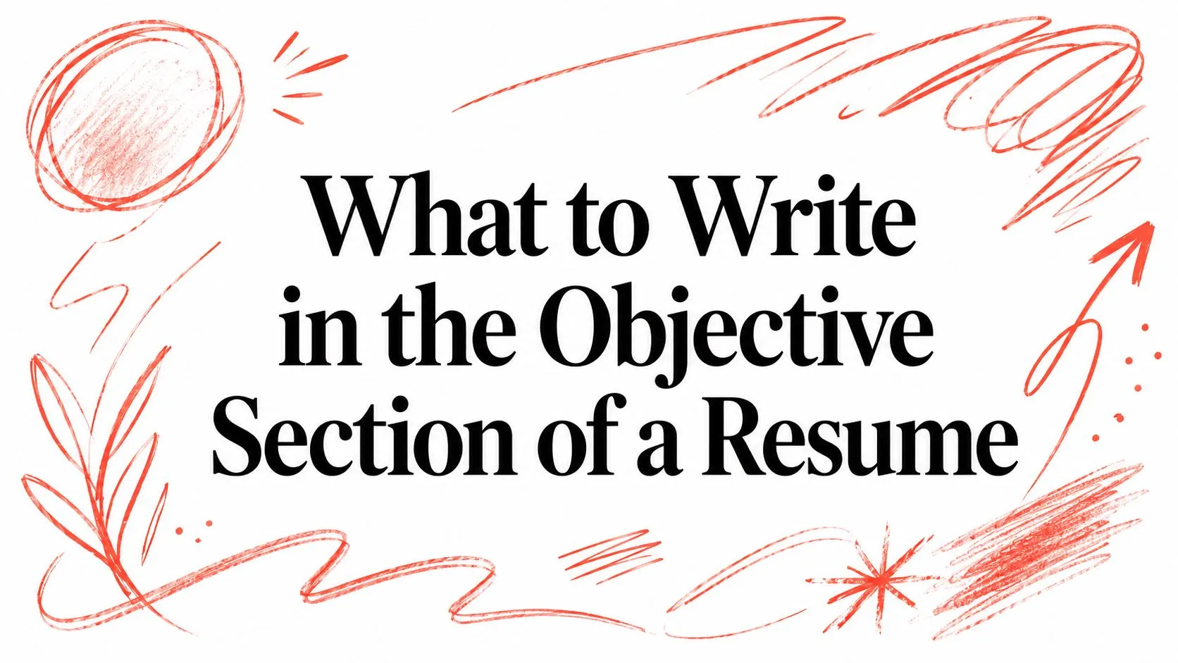 What to Write in the Objective Section of a Resume - StoryCV Blog